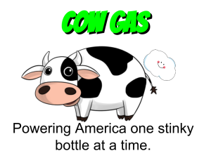 Cow Gas Art